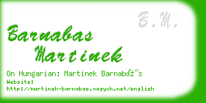 barnabas martinek business card